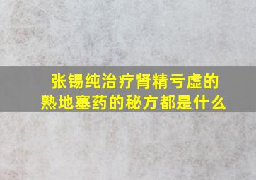 张锡纯治疗肾精亏虚的熟地塞药的秘方都是什么