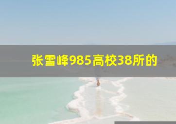 张雪峰985高校38所的