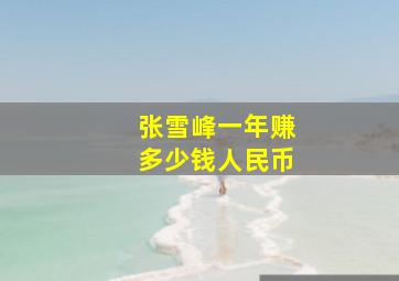 张雪峰一年赚多少钱人民币