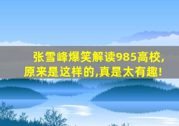 张雪峰爆笑解读985高校,原来是这样的,真是太有趣!