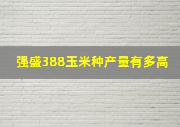 强盛388玉米种产量有多高