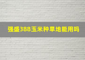 强盛388玉米种旱地能用吗