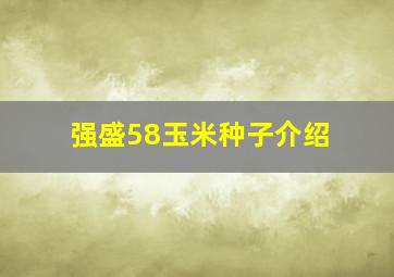 强盛58玉米种子介绍