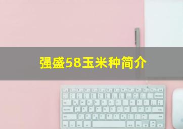 强盛58玉米种简介