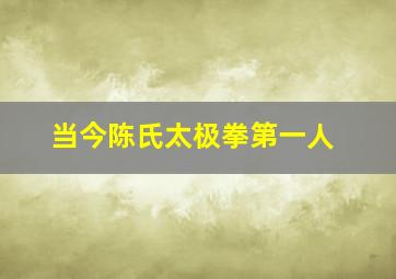 当今陈氏太极拳第一人