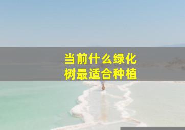 当前什么绿化树最适合种植