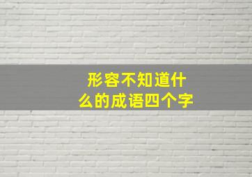 形容不知道什么的成语四个字