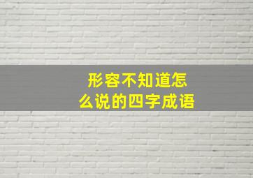 形容不知道怎么说的四字成语