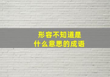 形容不知道是什么意思的成语