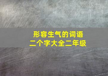 形容生气的词语二个字大全二年级