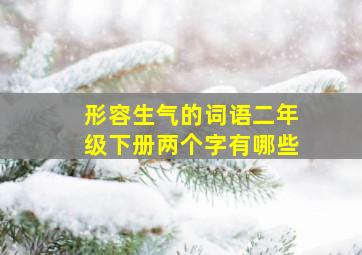 形容生气的词语二年级下册两个字有哪些