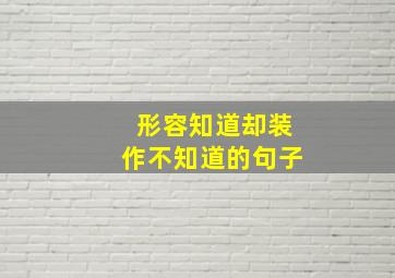 形容知道却装作不知道的句子