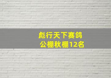 彪行天下赛鸽公棚秋棚12名