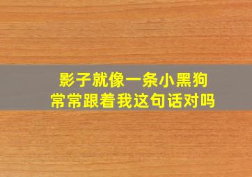 影子就像一条小黑狗常常跟着我这句话对吗