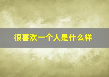 很喜欢一个人是什么样