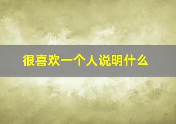 很喜欢一个人说明什么