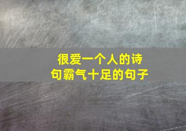 很爱一个人的诗句霸气十足的句子