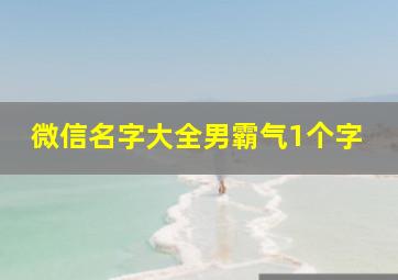 微信名字大全男霸气1个字