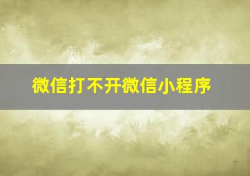 微信打不开微信小程序