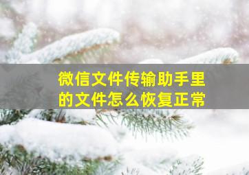 微信文件传输助手里的文件怎么恢复正常