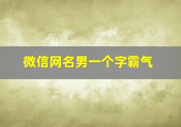 微信网名男一个字霸气