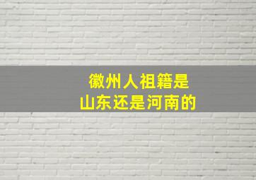 徽州人祖籍是山东还是河南的