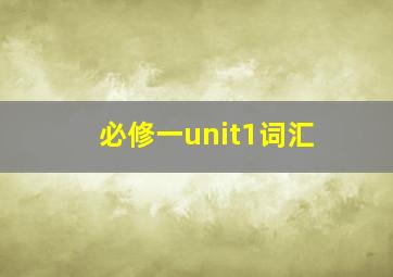 必修一unit1词汇