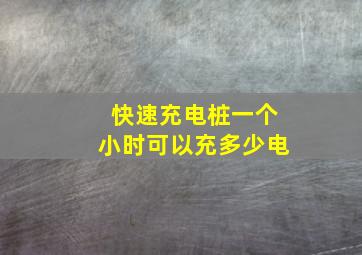 快速充电桩一个小时可以充多少电