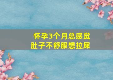 怀孕3个月总感觉肚子不舒服想拉屎