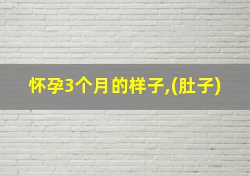 怀孕3个月的样子,(肚子)