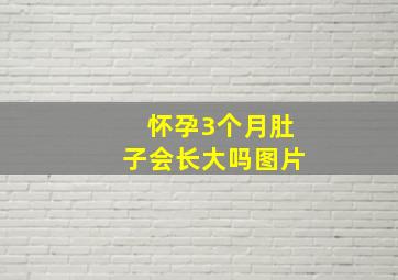 怀孕3个月肚子会长大吗图片