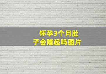 怀孕3个月肚子会隆起吗图片