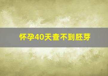 怀孕40天查不到胚芽