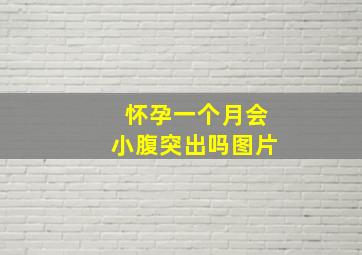 怀孕一个月会小腹突出吗图片