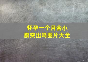 怀孕一个月会小腹突出吗图片大全