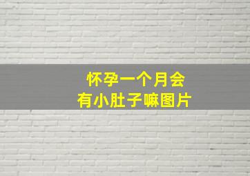 怀孕一个月会有小肚子嘛图片