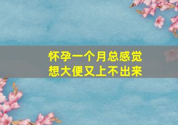 怀孕一个月总感觉想大便又上不出来