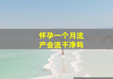 怀孕一个月流产会流干净吗