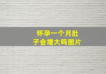 怀孕一个月肚子会增大吗图片