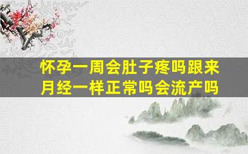 怀孕一周会肚子疼吗跟来月经一样正常吗会流产吗