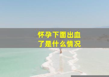 怀孕下面出血了是什么情况