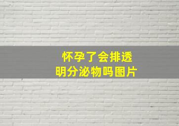 怀孕了会排透明分泌物吗图片