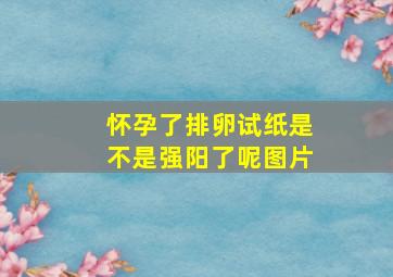 怀孕了排卵试纸是不是强阳了呢图片