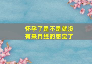 怀孕了是不是就没有来月经的感觉了