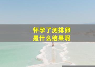 怀孕了测排卵是什么结果呢