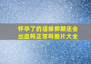 怀孕了的话排卵期还会出血吗正常吗图片大全