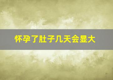 怀孕了肚子几天会显大