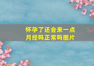 怀孕了还会来一点月经吗正常吗图片