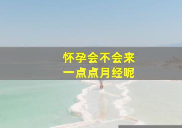 怀孕会不会来一点点月经呢