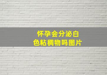 怀孕会分泌白色粘稠物吗图片